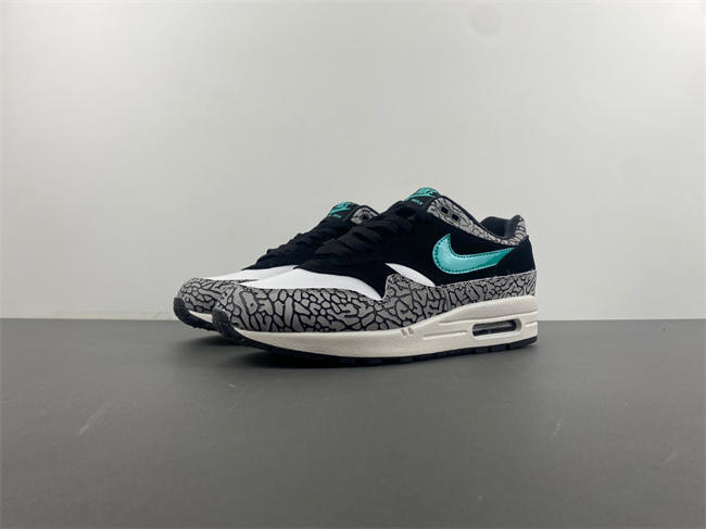 Air Max 1 Premium  908366-001