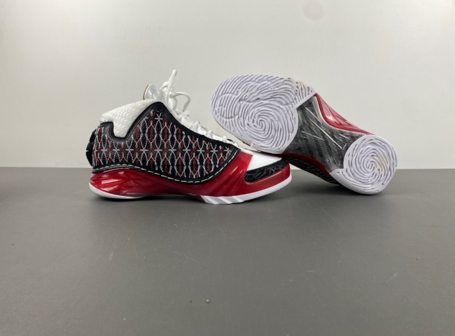 Titan x Air Jordan 23  318376-061