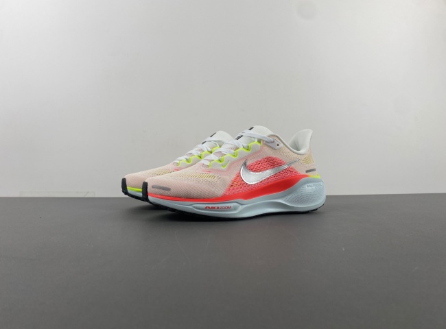 Nike Pegasus  FD2723-100