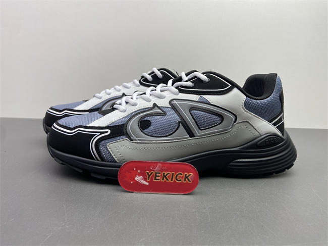 Dior B30 Sneaker