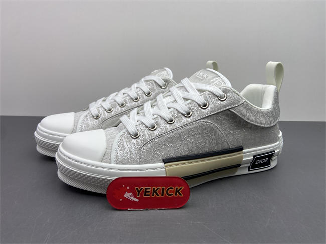 Dior B23 Sneaker