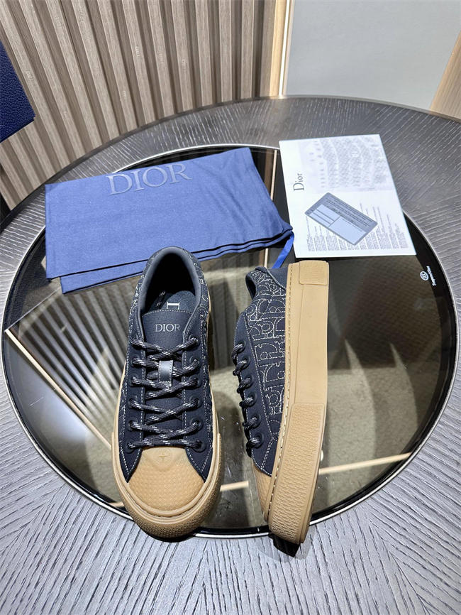 Dior Sneaker
