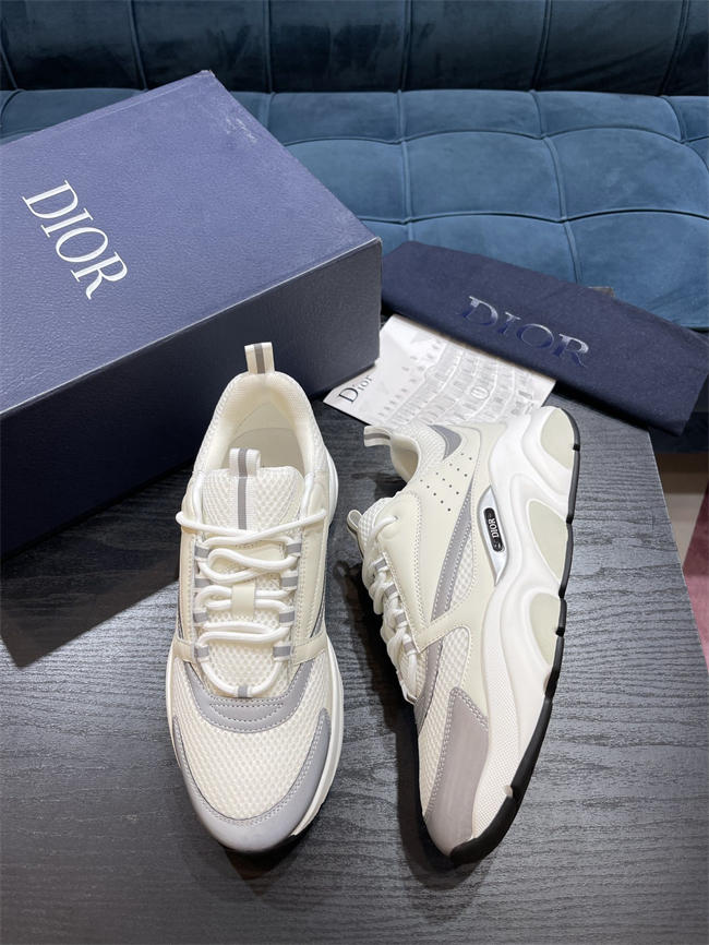 Dior B22 Sneaker