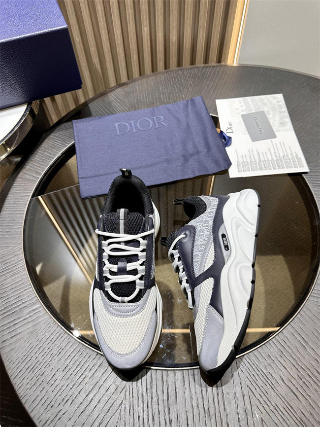 Dior B22 Sneaker
