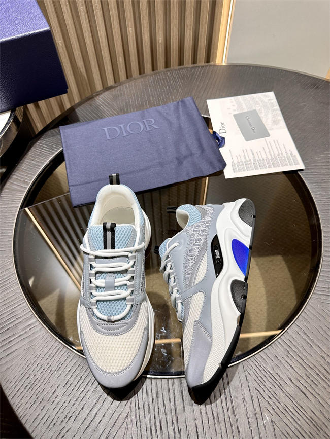 Dior B22 Sneaker