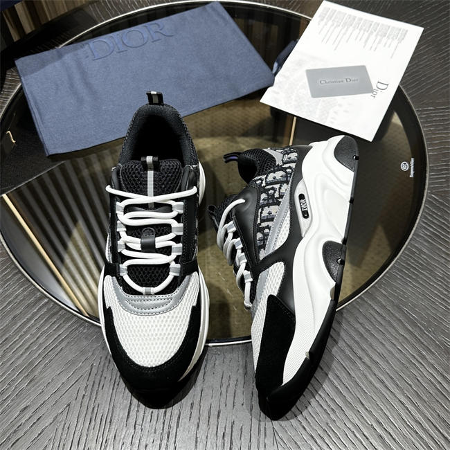 Dior B22 Sneaker