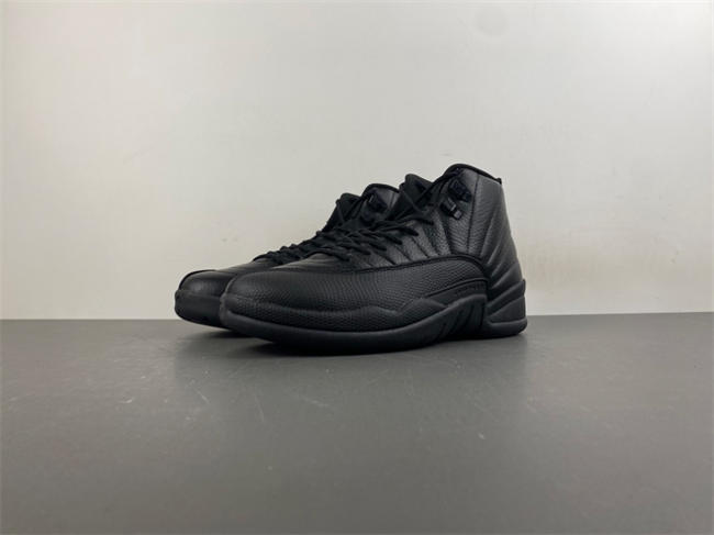 Air Jordan 12 Black CT8013-010