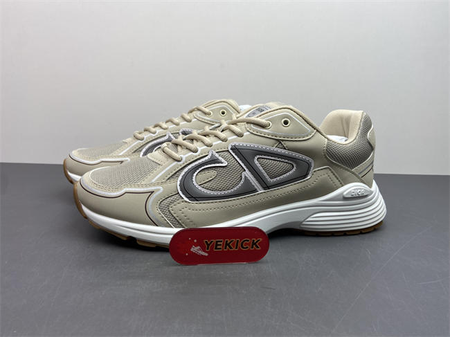 Dior B30 Sneaker