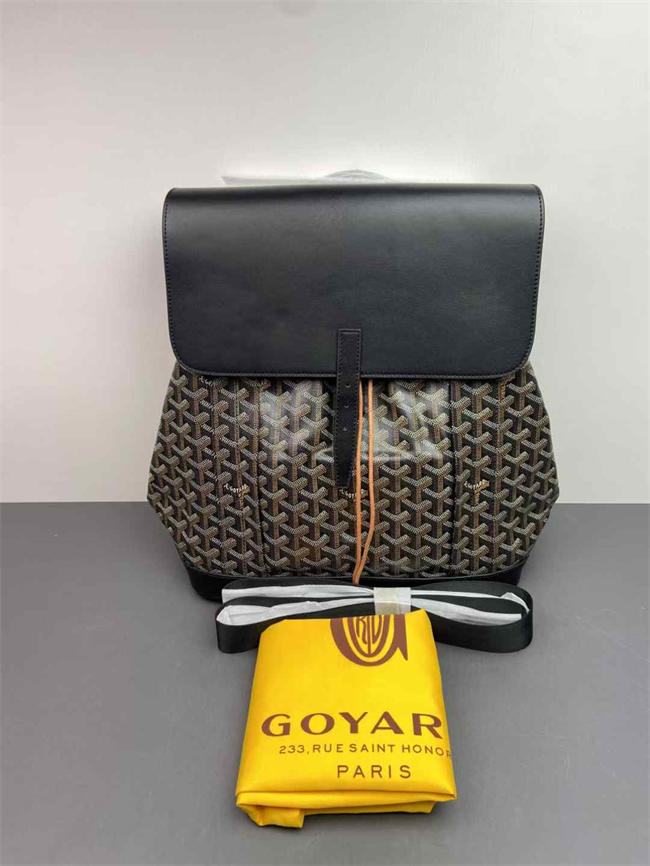 Goyard Alpin MM Backpack