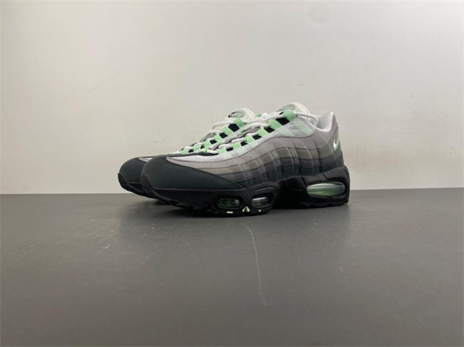 Nike Air Max 95 HJ5996-005