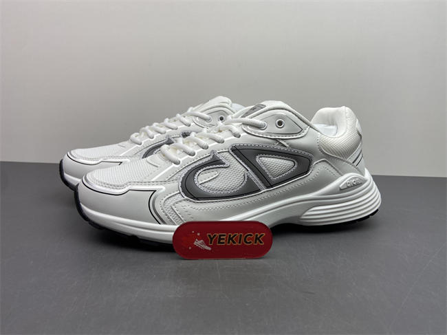 Dior B30 Sneaker