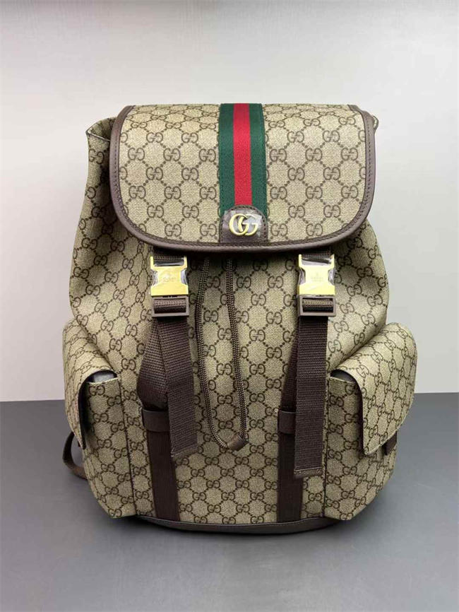 Gucci Ophidia Large Backpack